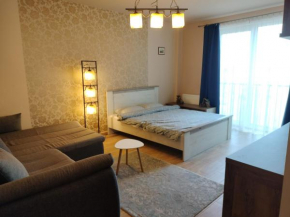Central Apartment in Mihai Viteazu Square